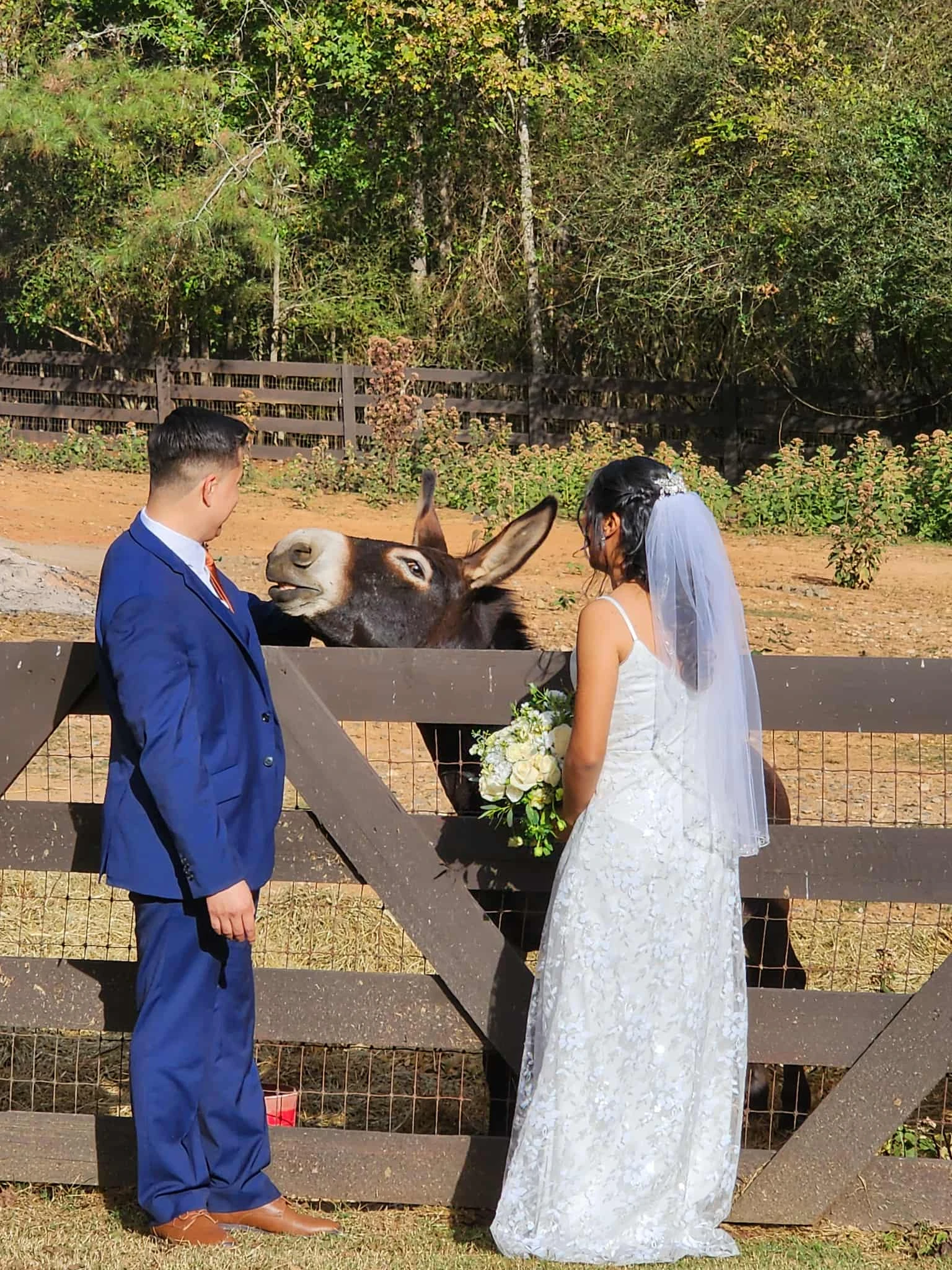 Three Birches outdoor wedding venue with private space